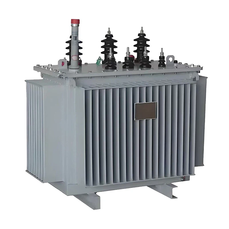 Fully Sealed Oil Immersed Distribution Transformer